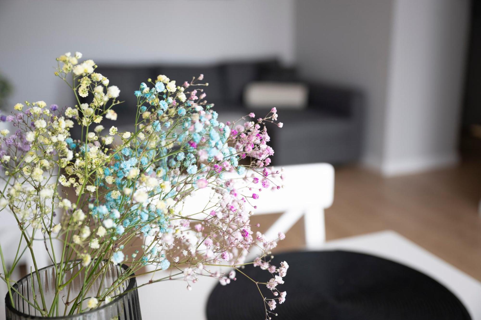 Apartamenty Deluxe Gdańsk Exteriör bild